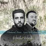 دانلود نوحه آذری Seyyid Taleh Boradigahi با نام Haidar Haidar