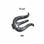 دانلود آهنگ Edis با نام Bir Yol