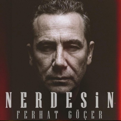 Nerdesin