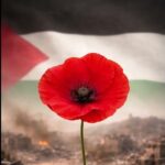دانلود آهنگ Cem Adrian با نام Bir Kuş Uçar دانلود آهنگ Cem Adrian با نام Bir Kuş Uçar